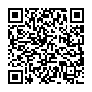 他的腮帮子还在鼓动……似乎正在狠狠的咀嚼着什么二维码生成