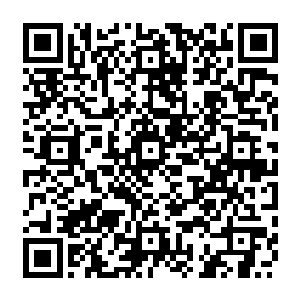 他知道秦方所说的话有超过八成的几率是真的……那一颗药丸绝对会让他们送命的二维码生成