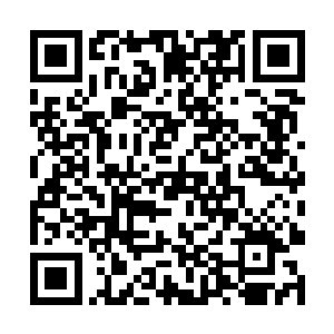 他这辈子对程家最大的贡献就是为程家的开枝散叶了二维码生成