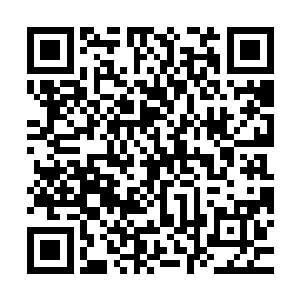 他都无法在通过每升两级获得一个属性点的办法来获得属性点了二维码生成