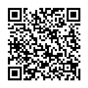 令处于丛林伸出的他顿时感到一种剧烈的敌意和危机感二维码生成