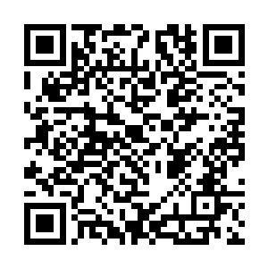 以后我们一定会把伯父伯母当作自己父母对待的……二维码生成