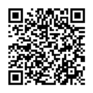 以女娲族这种冷血动物和恒温动物融合在一起的特殊生理结构二维码生成