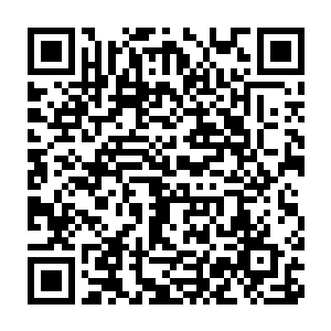 以此来为你死去的同伴报仇――不过根据我刚才一路上对你的观察二维码生成