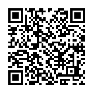 以现在血翼的实力基本上没有势力会对他们造成威胁了二维码生成