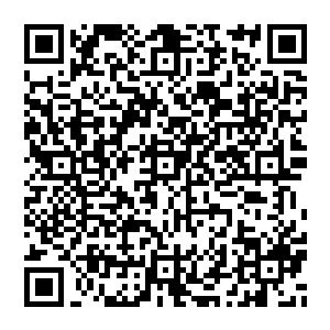 任何试图使用1998去扭曲d级人员的自由意志从而获利的人员或是部门将会因此被考虑直接降级或是重新分配项目二维码生成