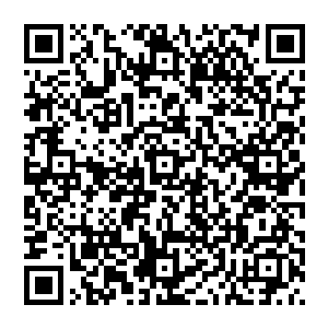 伊丽萨和洪涛两个人就是在离奥斯基他们不远的一块空旷冰面上玩起了类似篮球斗牛一样的一对一对抗二维码生成