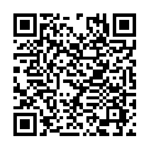 伏羲系统不得以任何方式伤害盘古文明的任何个体二维码生成