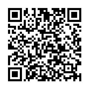 会不会是上次殿主要召见我和熊啸时见了熊啸没见我二维码生成