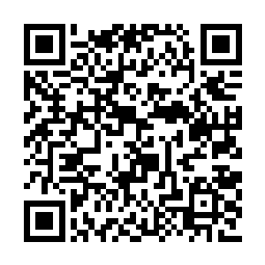 传说中修罗界跟固定在一处的洪荒界等世界不同二维码生成