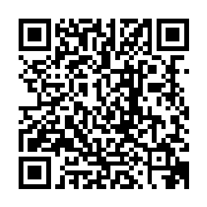 伦敦副本也好……都是主系统单独构建出来的一个单独的小世界二维码生成