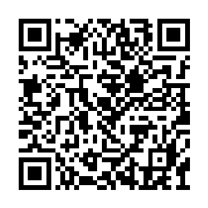 估计他想说的是杨戬不可能用准圣力量攻破大阵二维码生成