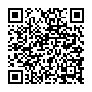 估计我们完全就是没戏――我完全不应该感谢我的太太二维码生成