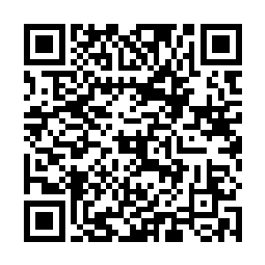 伸出枯枝似的双手不管不顾的扑向了我对面的宋婕……二维码生成