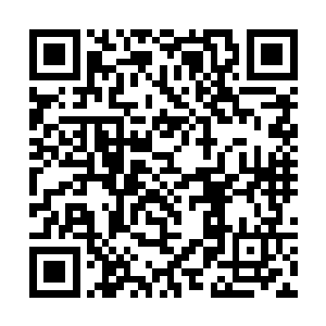 似乎……从泽北光男的一系列言谈举止以及表现看来二维码生成