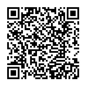 似乎对死去的同伴并没有多少哀悼之心――他们仿佛已经习惯了这种场面二维码生成