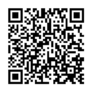 但两棵树苗又甩出晶体鞭藤缠绕在苏林与周宇的脖颈上二维码生成