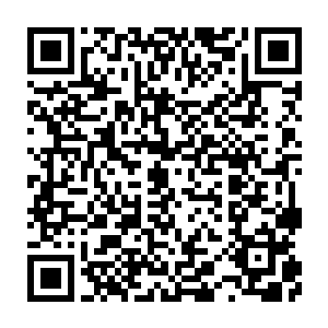 但他们的脸和自己最后一次看到他们的时候并没有太大的变化reads二维码生成