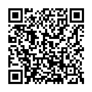 但你不能说他们在好莱坞的地位比现在的珍妮高二维码生成