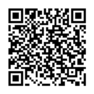 但其实小妮的心里面已经想过无数次这样的场景了二维码生成