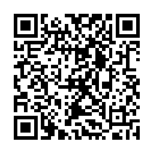 但又不记确切是怎么样了……对于记忆无错的仙人来说二维码生成