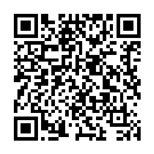 但只从他给出的疫病治疗药方和他声称能治疗好罗杰小王子二维码生成
