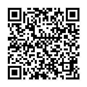 但同样的我对于他们的管教貌似也是非常的严格二维码生成