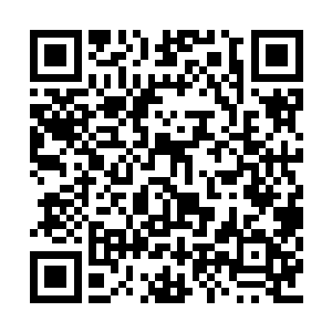 但它采用了一种非常特殊的信息压缩和加密结构二维码生成