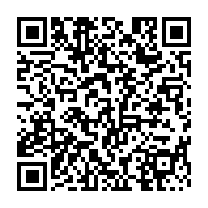 但感性的反馈也依然是非常强大的――也许没有成长时的那段经历二维码生成