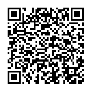 但是为什么最近他们的产业却是如鱼得水一般的快速占领了很多的领域二维码生成