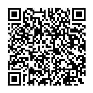 但是他的感官指引出来的方向却分明是要往生长得矮小一些的珊木处逃二维码生成