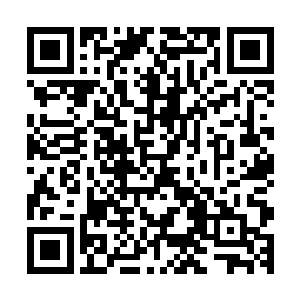 但是仲华又不会无缘无故的叫丁长生过来伺候一顿饭这么简单二维码生成