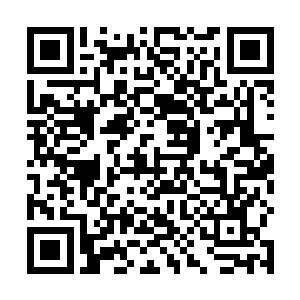 但是墨小宝虽然从小就备受徐家和定王府所有人的宠爱二维码生成