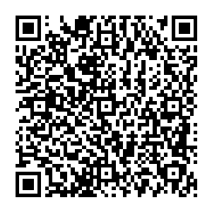 但是当时却是李雨彤来了清北大学建筑系的教授专程根据宋朝年间的江南酒楼的形态进行设计的二维码生成