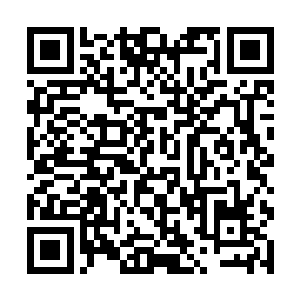 但是您却因为支持辣椒而给了辣椒如此荣耀……谢谢二维码生成