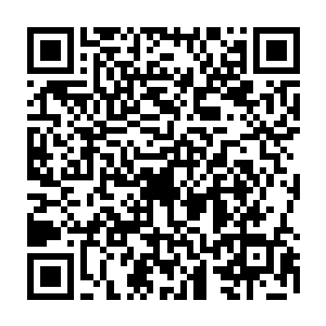 但是现在你不也只能是眼睁睁的看着我计划一步步的成功而无法奈何我吗二维码生成