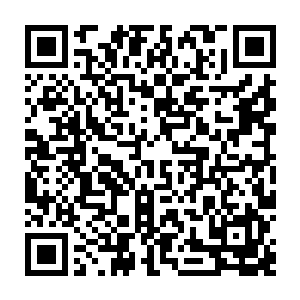 但是现在被这么多双又闪又亮充满了求知欲的眼睛注视着瞬间就紧张起来了二维码生成