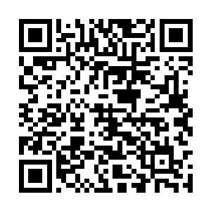 但是看着张潇晗注意力根本不在任何一个修士身上二维码生成