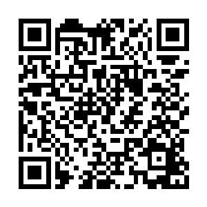 但是看着管家的样子貌似根本就没有作假的意思二维码生成