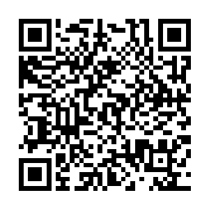 但是笨丁依旧将杰西卡的计划传送给了远在星界深处的马文二维码生成