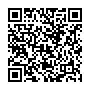 但是等我靠近的的时候这种花顿时绽放出了璀璨的光芒二维码生成