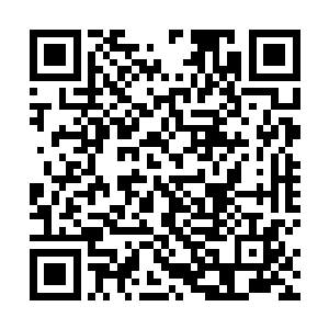 但是绝对不会有长得一模一样而且气质也一样的两个人二维码生成