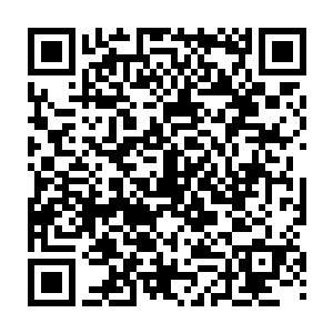 但是见识过它打猎的人也在那个可爱的标签后面加上另外一个-厉害的狩猎者二维码生成