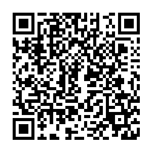 但是赵纯良依旧不怎么相信劳伦斯这样一个老狐狸会这么简单的就被人给出卖了二维码生成