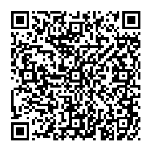 但最终他的球队还是被ac米兰的卡卡绝杀……在距离欧冠冠军最近的时候丢掉了这个冠军……我为什么要说这些二维码生成