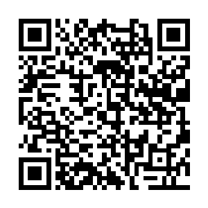 但杜家拍卖行在重要的拍卖会上并不鼓励竞标者疯狂的竞拍二维码生成