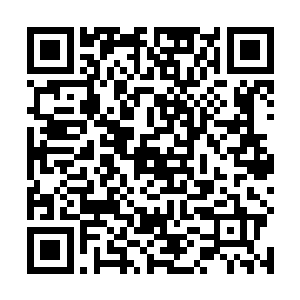 但确实管用……三段变身叠加出的可不仅是庞大的能量二维码生成