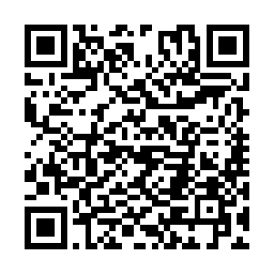 但这个绝对不是主任主动收下他为学生的主要原因二维码生成