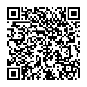 你一个人的表现当然不可能比真正的元始文明在星海征服之路上的表现更好二维码生成