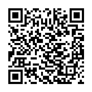 你们的空间戒指将会被本源圣器的力量封印无法使用二维码生成